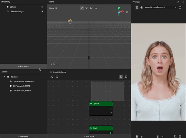 Adding a 3D Face scene object to your project