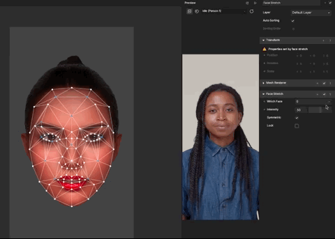 Copying a Face Stretch effect to another project
