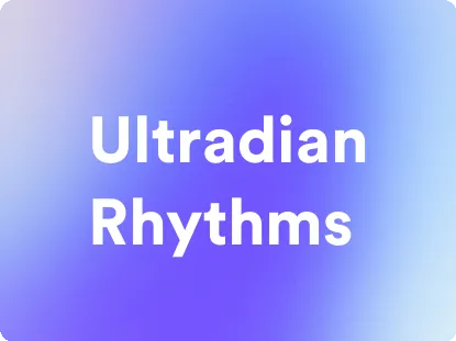 an image for ultradian rhythms